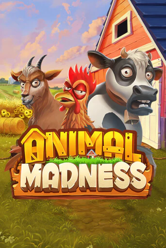 Animal Madness демо игра казино без регистрации | PokerDom