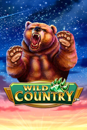 Wild Country демо игра казино без регистрации | PokerDom